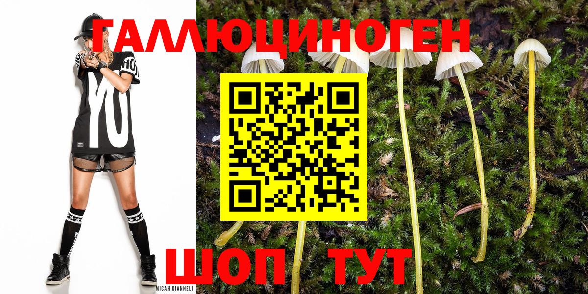 Псилоцибиновые грибы GOLDEN TEACHER Набережные Челны