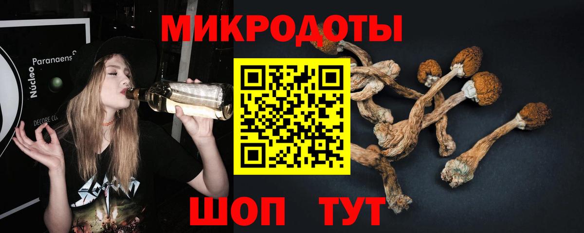 Псилоцибиновые грибы Psilocybine cubensis  Вход с VPN  Галлюциногенные грибы ЛСД  Набережные Челны 